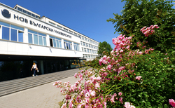 1844667-copy_250x154_crop_478b24840a